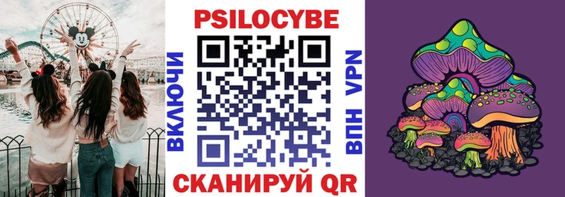 Псилоцибиновые грибы Cubensis где найти Безенчук